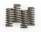 Ebc Clutch Spring Kit CSK149 New. Price: $12.98.