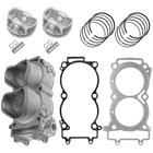 Caltric 32204948 2204949 Cylinder & Piston Ring Kit W/gaskets For Polaris New. Price: $298.00.