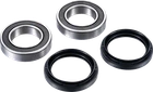 Factory Links Axle Bearing Kit Rear ARA-Y-010 New. Price: $43.39.