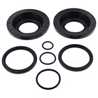 Balls 25-2138-5 Differential Seal Kit New. Price: $28.84.