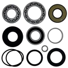 Niche Rear Differential Bearing Seal Kit For Suzuki Ozark Quadsport Z250 New. Price: $94.54.