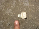 * 81 Yamaha Yamahopper Oil Fill Plug Used. Price: $14.99.